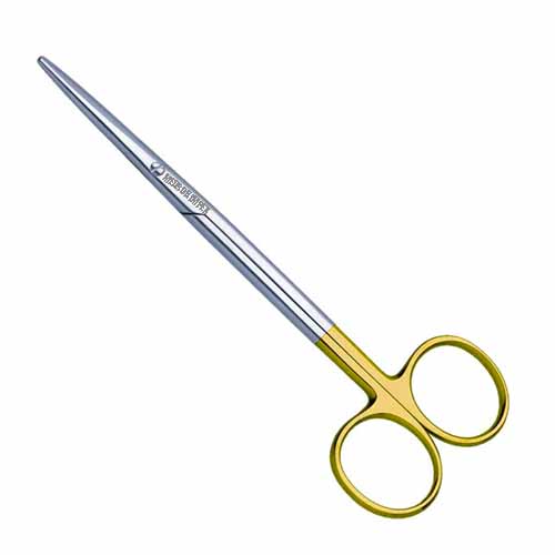 scissors pronunciation